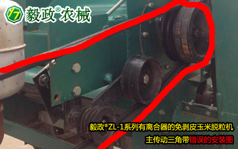 毅政牌ZL1系列有離合器的免剝皮玉米脫粒機(jī)，主傳動(dòng)三角帶錯(cuò)誤安裝